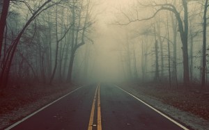 fog road